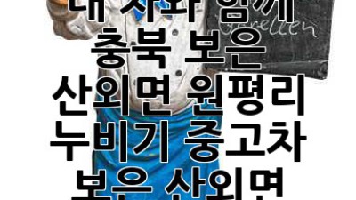 내 차와 함께 🚗 충북 보은 산외면 원평리 누비기! #중고차 #보은 #산외면