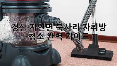 경산 자인면 북사리 자취방 청소 완벽 가이드 ✨