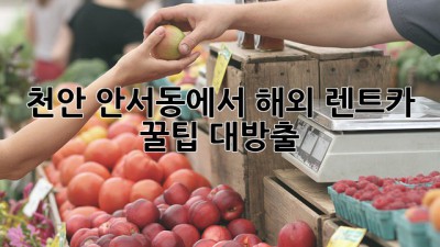 천안 안서동에서 해외 렌트카? 꿀팁 대방출! 🚗✈️